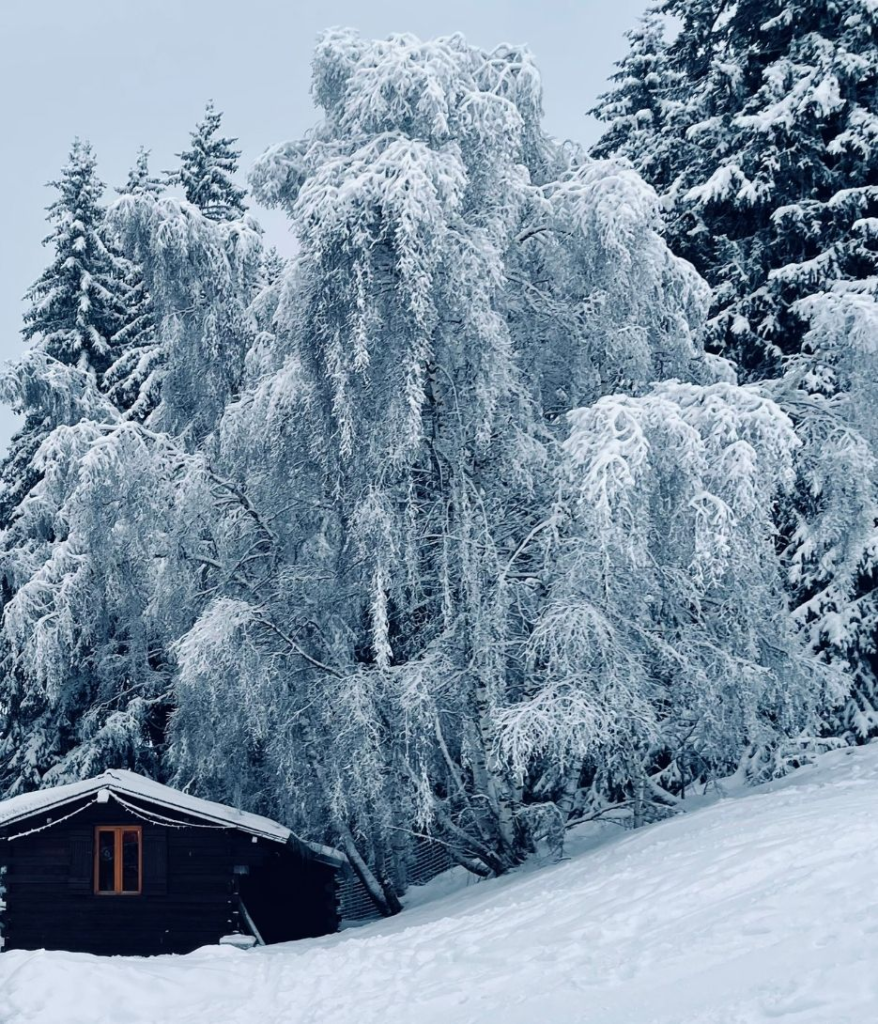 Good for the soul mountain cabin